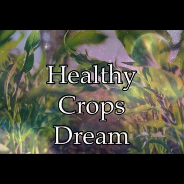 Healthy Crops Dream