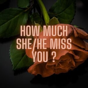 How Much She or He Miss You