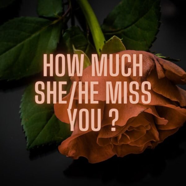 How Much She or He Miss You